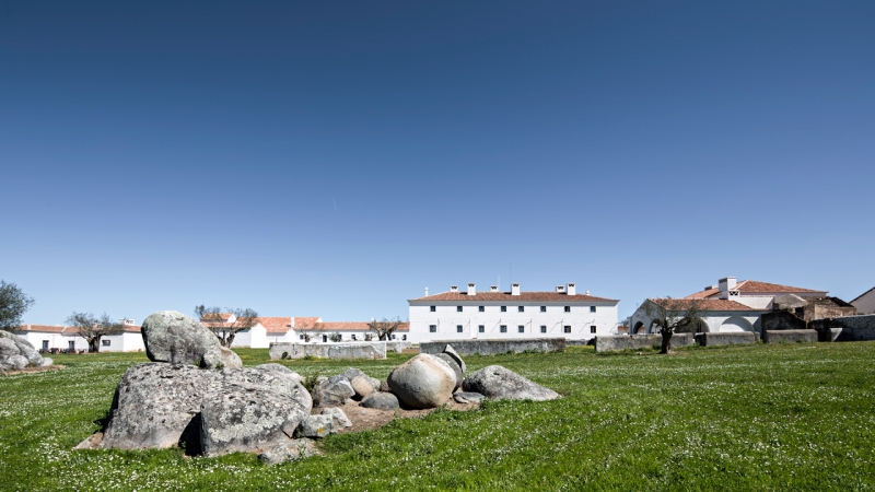 Empresários visitaram vinícolas portuguesas 