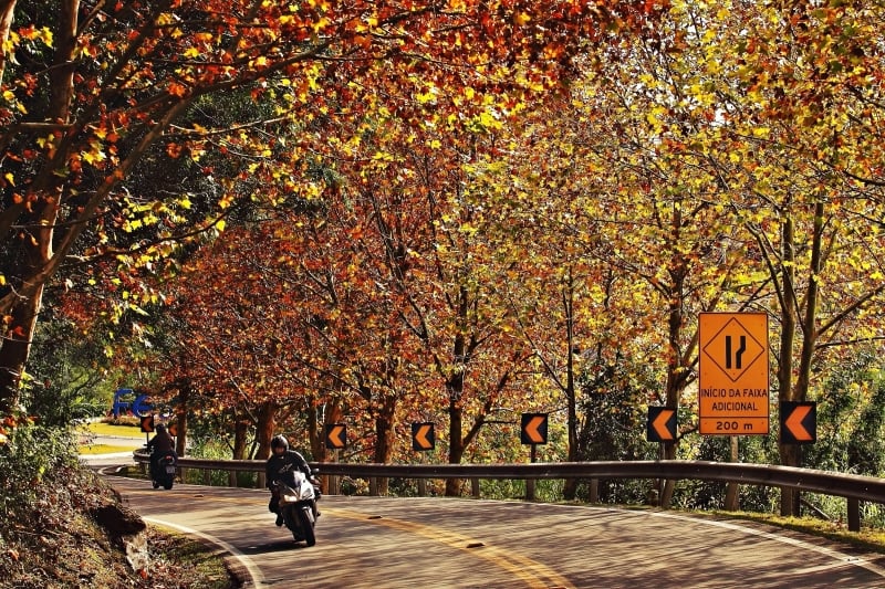 Rota Romântica, que inclui 14 cidades entre São Leopoldo e Gramado, usa belezas naturais como atração
