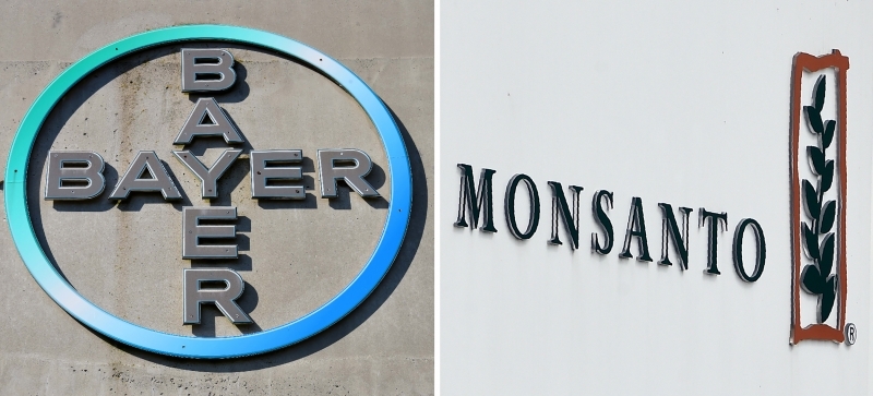 A Bayer afirmou que "completou com sucesso a aquisição" e que passa a ser a única dona da Monsanto 