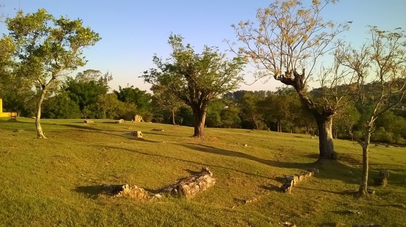Fósseis de árvores petrificadas podem ser visitados no Jardim Paleobotânico, em área de 3,6 hectares