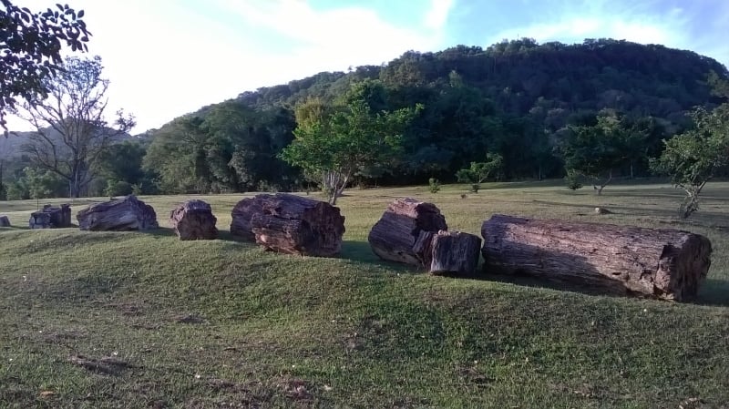Parque é repleto de exemplares de fósseis de madeiras petrificadas observáveis