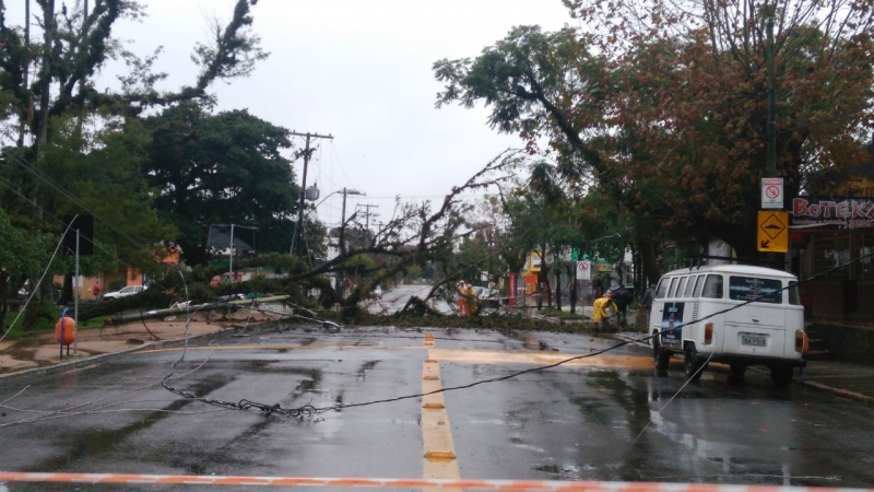 Árvore de grande porte caiu no bairro Belém Novo, em Porto Alegre, bloqueando a avenida Heitor Vieira