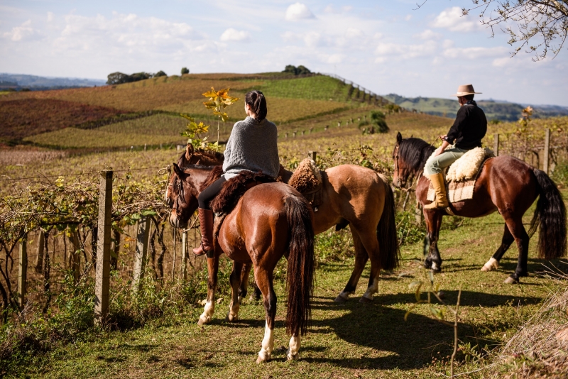 Cidades oferecem diversas atividades para a estação, que se inicia no próximo dia 21