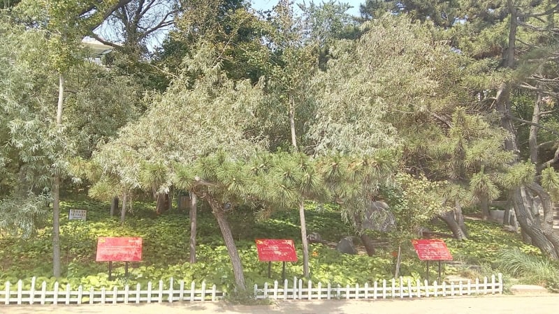 Balnerio de Beidahe sediou muitas reunies do Partido Comunista