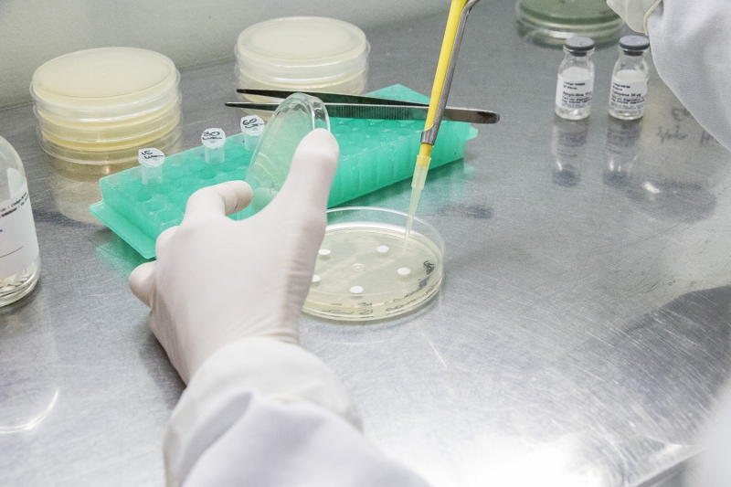 Doutoranda da Univates realiza pesquisas com soro de queijo de búfala