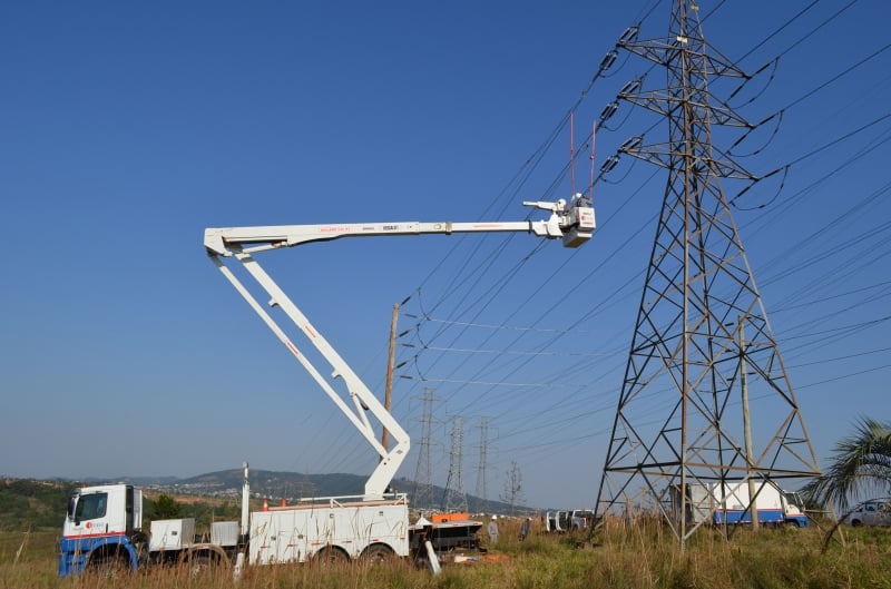 Equipes percorrem a região da Estação Ecológica do Taim, em Rio Grande, para apurar a ocorrência