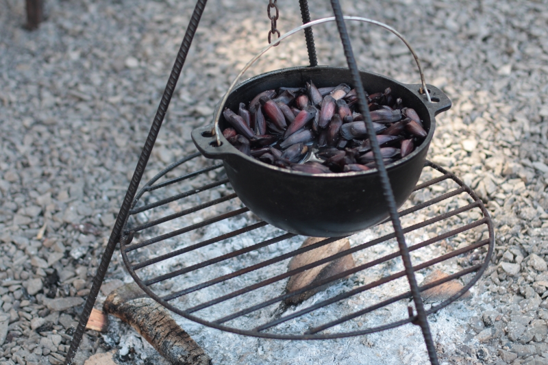 Comidas do Parador Hampel Foto: Roberta Fofonka/Especial/JC