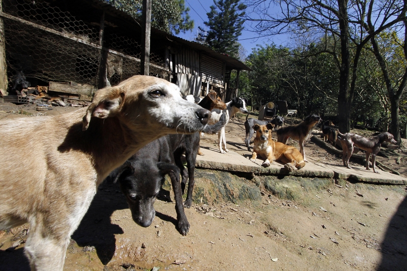 Procedimentos cirúrgicos com fins estéticos e regulamentação da vendas estão entre os pontos do projeto