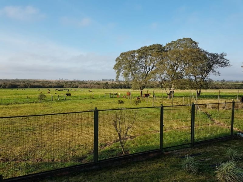 {'nm_midia_inter_thumb1':'https://www.jornaldocomercio.com/_midias/jpg/2018/08/16/206x137/1_cirasadsaga04-8437714.jpg', 'id_midia_tipo':'2', 'id_tetag_galer':'', 'id_midia':'5b758ff5ef847', 'cd_midia':8437714, 'ds_midia_link': 'https://www.jornaldocomercio.com/_midias/jpg/2018/08/16/cirasadsaga04-8437714.jpg', 'ds_midia': 'Opera&ccedil;&atilde;o Castelo de Areia no Rio Grande do Sul - MPE / Fazenda Estadual e Receita Estadual e PGE - busca e apreens&atilde;o de documentos - Fam&iacute;lia Burtet - agropecu&aacute;ria - est&acirc;ncia em Alegrete com buscas e apreens&otilde;es', 'ds_midia_credi': 'MARJULI&Ecirc; MARTINI/MPE/DIVULGA&Ccedil;&Atilde;O/JC', 'ds_midia_titlo': 'Opera&ccedil;&atilde;o Castelo de Areia no Rio Grande do Sul - MPE / Fazenda Estadual e Receita Estadual e PGE - busca e apreens&atilde;o de documentos - Fam&iacute;lia Burtet - agropecu&aacute;ria - est&acirc;ncia em Alegrete com buscas e apreens&otilde;es', 'cd_tetag': '1', 'cd_midia_w': '800', 'cd_midia_h': '600', 'align': 'Left'}