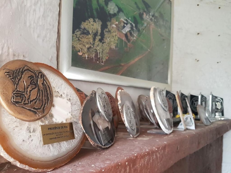 Estância em Alegrete foi alvo de buscas e apreensões na Operação Castelo de Areia 