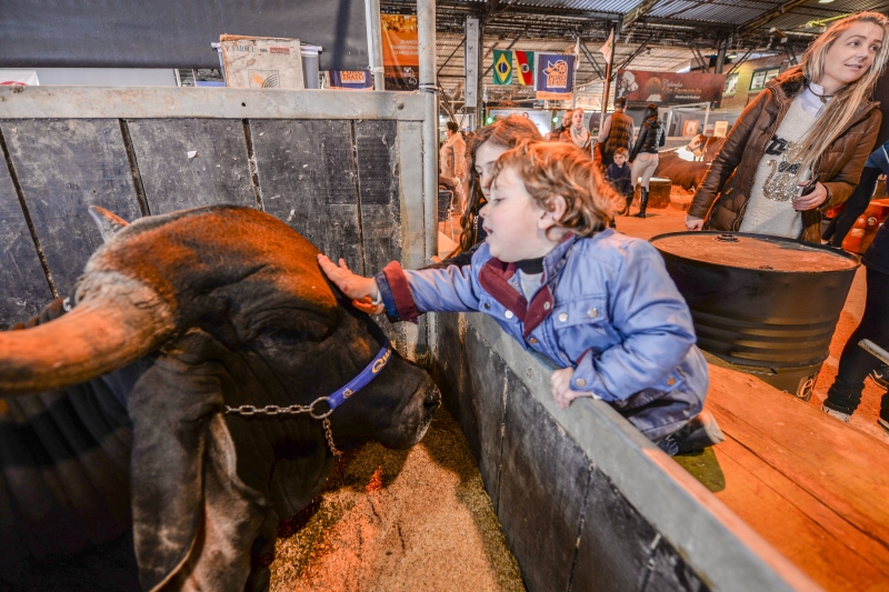 Crianas aproveitam para interagir com animais e se divertir na visita ao parque