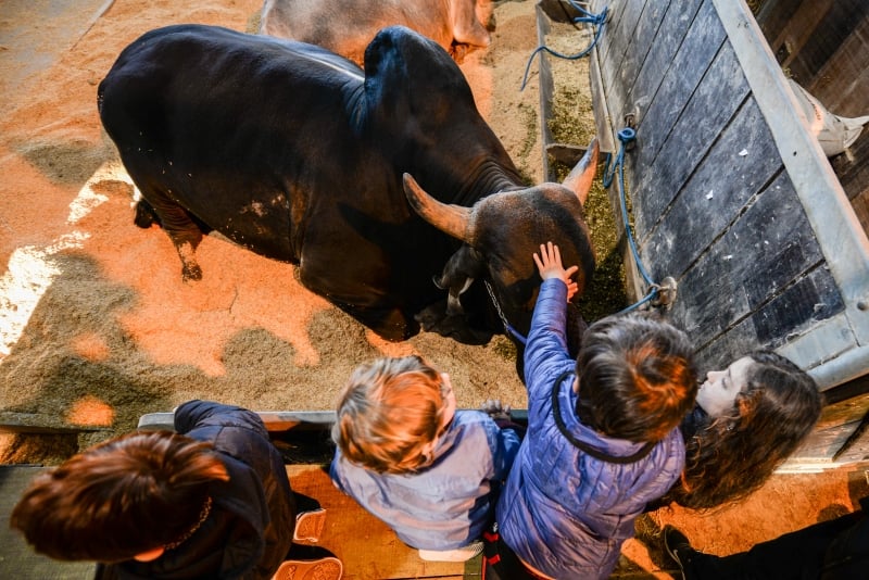 {'nm_midia_inter_thumb1':'https://www.jornaldocomercio.com/_midias/jpg/2018/08/26/206x137/1_dsc_1872-8449272.jpg', 'id_midia_tipo':'2', 'id_tetag_galer':'', 'id_midia':'5b82b91e5b915', 'cd_midia':8449272, 'ds_midia_link': 'https://www.jornaldocomercio.com/_midias/jpg/2018/08/26/dsc_1872-8449272.jpg', 'ds_midia': 'Expointer 2018 - ambiental - sol e chimarrão visitantes - dicas de programa - Parque de Exposições Assis Brasil - Esteio ', 'ds_midia_credi': 'MATHEUS PICCINI/ESPECIAL/JC', 'ds_midia_titlo': 'Expointer 2018 - ambiental - sol e chimarrão visitantes - dicas de programa - Parque de Exposições Assis Brasil - Esteio ', 'cd_tetag': '1', 'cd_midia_w': '800', 'cd_midia_h': '534', 'align': 'Left'}