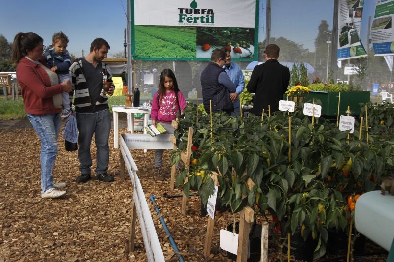 Famlia de Novo Hamburgo ficou maravilhada com a qualidade das hortas mostradas na Emater-RS