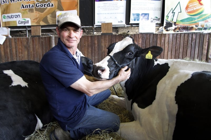 Vaca Fest Leite Damasco, de Paulo Ferraboli, produziu 76,5 quilos de leite 