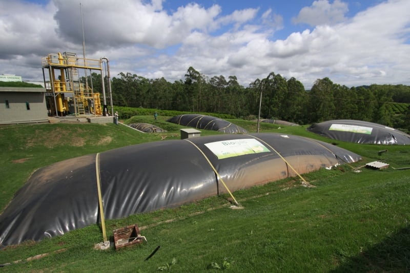 Atividade do setor contribui para diminuição da emissão de gases de efeito estufa 