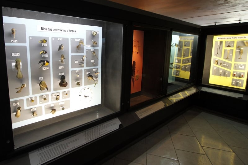 Biomas e ossadas são representados nas salas de exposição do prédio, localizado dentro do Jardim Botânico