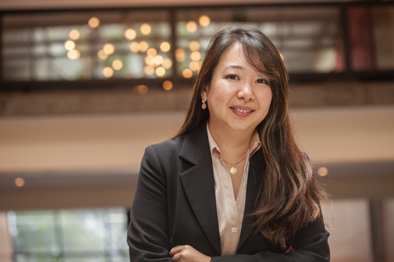 Papel social do produto garante aprendizagem sem sobressaltos