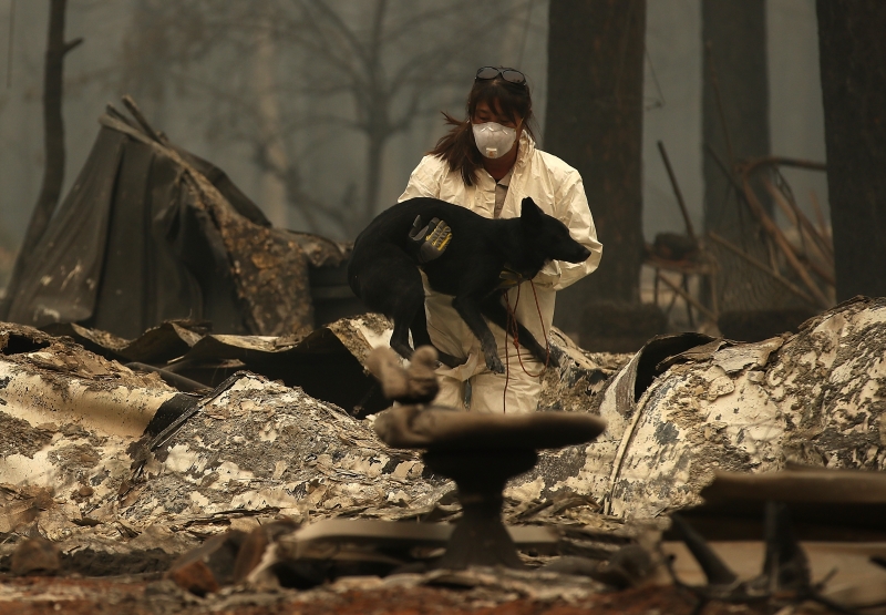 Incêndio já destruiu mais de 600 quilômetros quadrados e quase 10 mil casas
