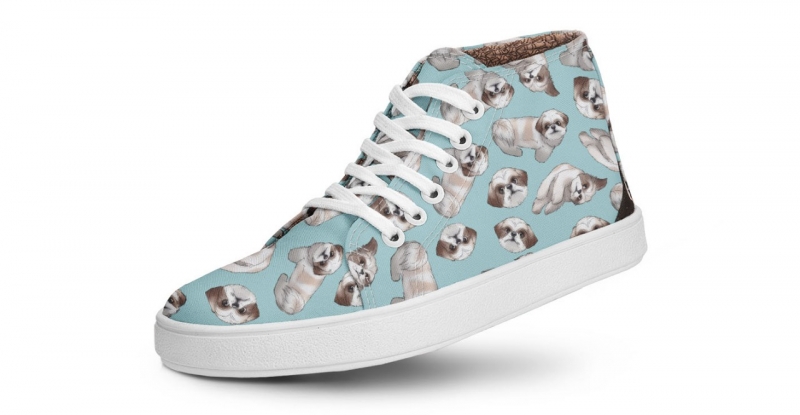 Sapatos Usthemp Foto: Arquivo Pessoal/Divulga&ccedil;&atilde;o/JC