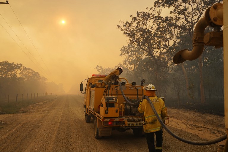 Em duas semanas, local já registrou mais de 110 queimas na floresta 