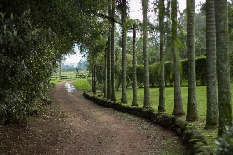 Paisagem bucólica do Trajeto da Rota Sabores e Saberes proporciona turismo calmo e integrado aos produtores locais