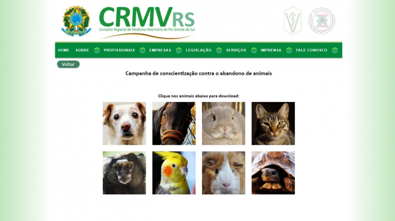 Peças da campanha contra o abandono de animais no site do CRMV-RS 