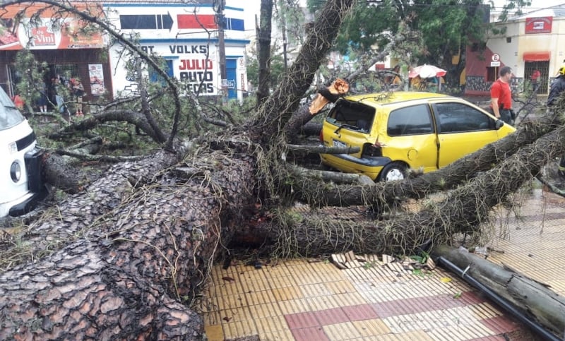 Em Santana do Livramento, o vento foi tão forte que arrancou uma árvore que caiu sobre um carro 