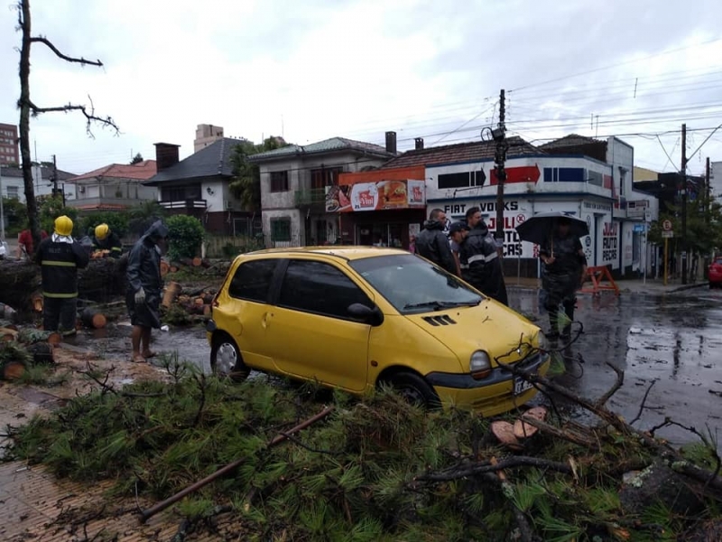 Queda de árvore danificou carro estacionado em Santana do Livramento