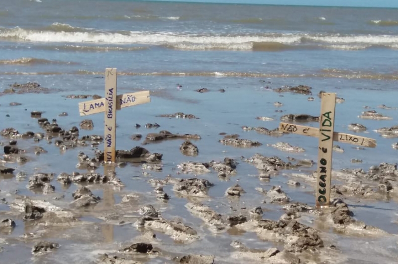 Placas foram colocadas na beira da praia para denunciar fenômeno  