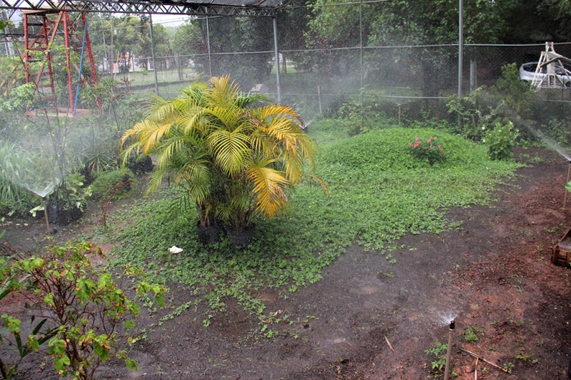 Água é captada por calhas e coletada em duas cisternas de 15 mil litros cada