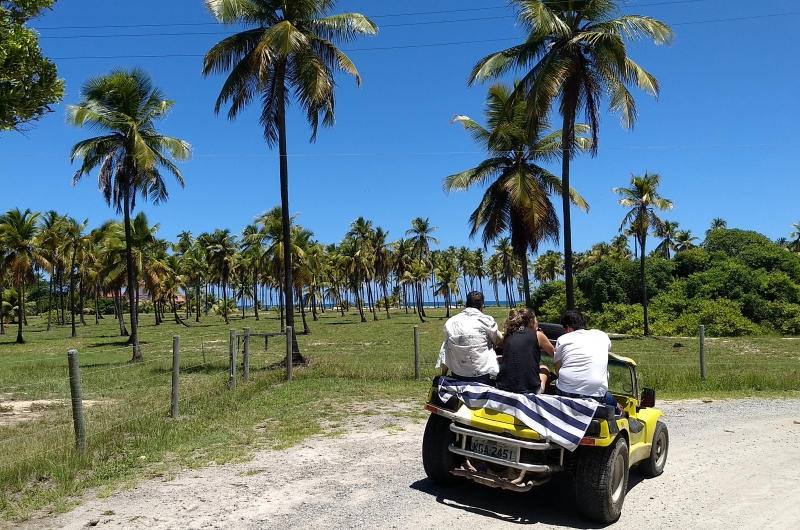 Trajetos para o passeio podem ser combináveis
