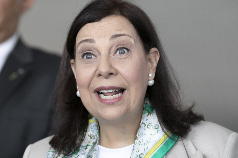 Maria Teresa Belandria representará Guaidó junto às autoridades do Brasil