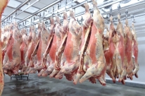 Agosto registra novo recorde mensal nas exportações de carne bovina brasileira