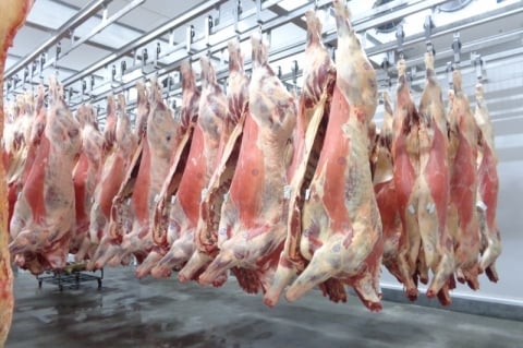 China sobretaxa carne brasileira e setor tenta evitar nova trava em 2027