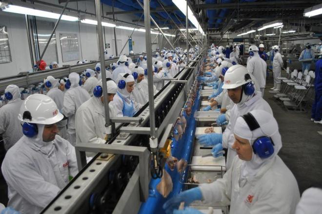 Empresas deve criar seu próprio Plano de Contingência para prevenção e controle do coronavírus