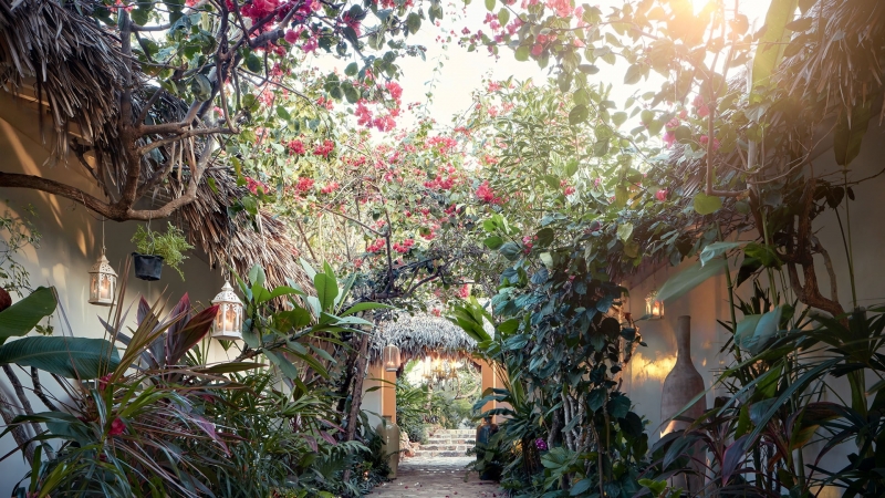 Tendo o mar como cenário, clientes contam com momentos singulares