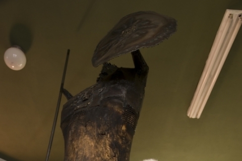 Revitalização de obras e exposições comemoram cem anos de nascimento de Xico Stockinger