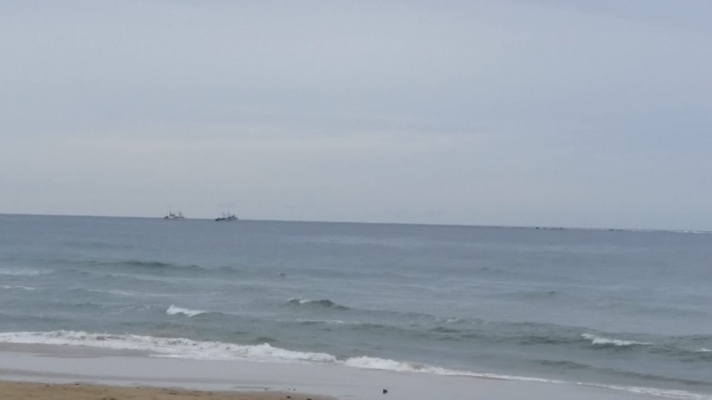 Barcos foram flagrados por moradores na Praia Grande na área de um refúgio de lobos marinhos
