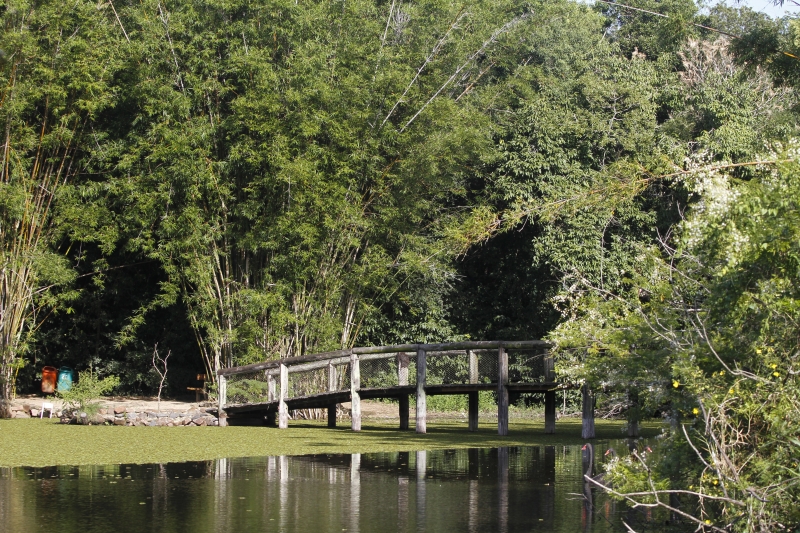 {'nm_midia_inter_thumb1':'https://www.jornaldocomercio.com/_midias/jpg/2019/02/27/206x137/1_mc270219_jardim_botanico__230_-8641279.jpg', 'id_midia_tipo':'2', 'id_tetag_galer':'', 'id_midia':'5c77040388d10', 'cd_midia':8641279, 'ds_midia_link': 'https://www.jornaldocomercio.com/_midias/jpg/2019/02/27/mc270219_jardim_botanico__230_-8641279.jpg', 'ds_midia': 'Fundação Zoobotânica, Jardim Botânico', 'ds_midia_credi': 'MARIANA CARLESSO/JC', 'ds_midia_titlo': 'Fundação Zoobotânica, Jardim Botânico', 'cd_tetag': '1', 'cd_midia_w': '800', 'cd_midia_h': '533', 'align': 'Left'}