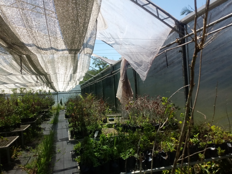 Área apresenta danos devido à falta de luz, de água e de funcionários