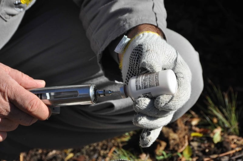 Rio Grande do Sul deve passar a exibir novo status sanitário a partir de quinta-feira (27)