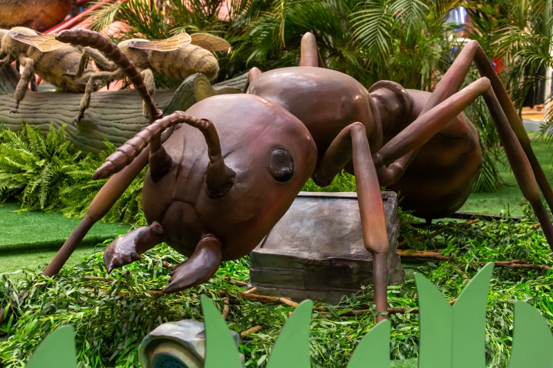 Exposição 'Natureza gigante' inaugura nesta quarta-feira (10)