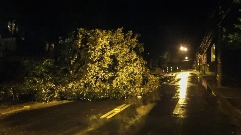 Na avenida Wenceslau Escobar, a via foi totalmente bloqueada devido à queda de uma árvore