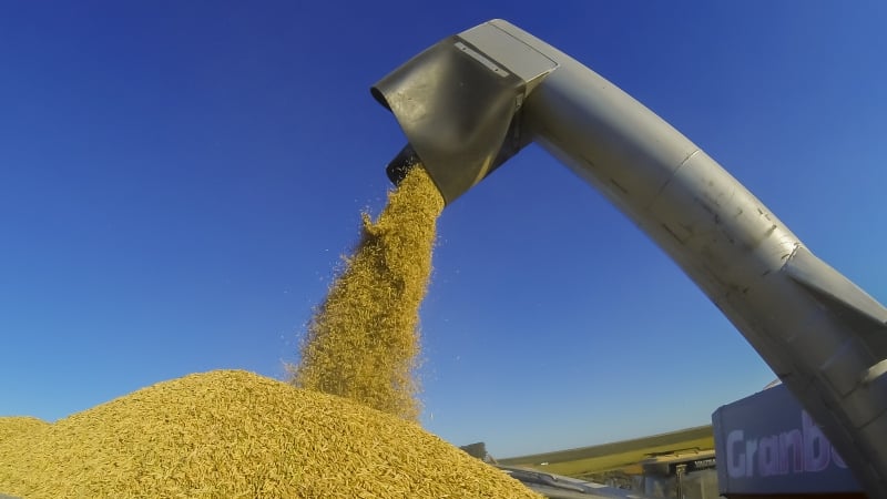 O produto ter como matria-prima a casca de arroz