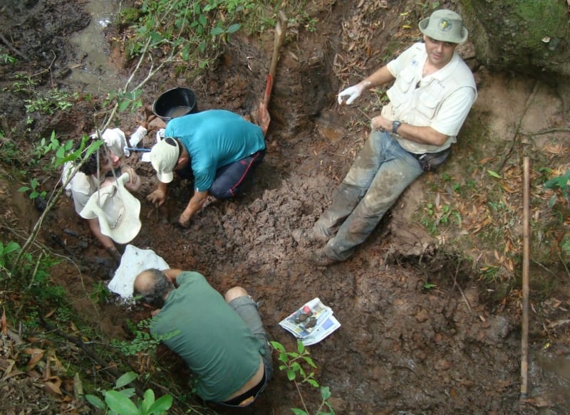 Escavação realizada em Caçapava do Sul para coletar o fóssil