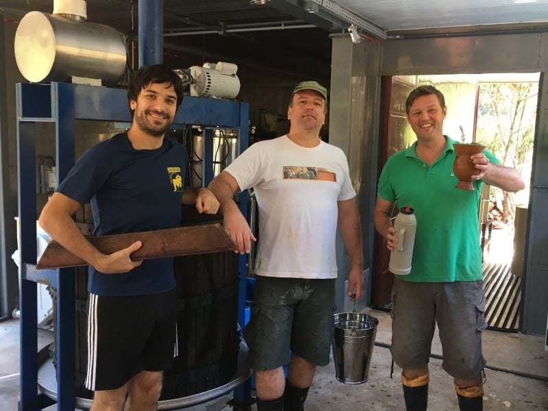 Trio produz vinhos respeitando as vivências do processo natural