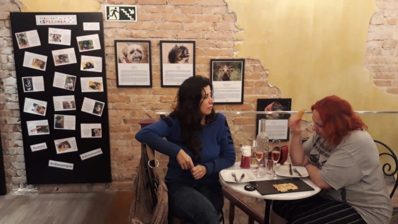 Exposição do Santa Fermata Caffè & Vino mostra histórias de animais resgatados das ruas
