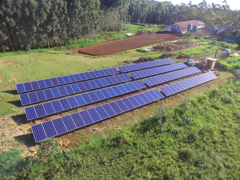 Energia Própria tem mais de 700 projetos com placas fotovoltaicas