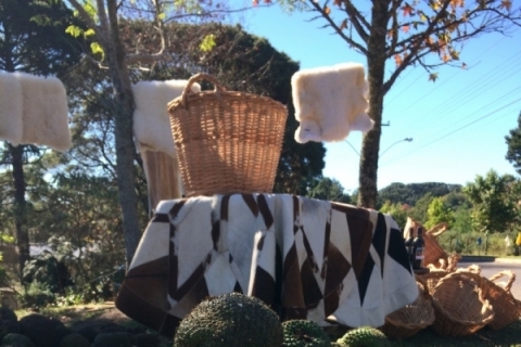 Semente será protagonista em pratos oferecidos por restaurantes