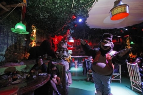 Pizzaria de Gramado recria ambiente de floresta